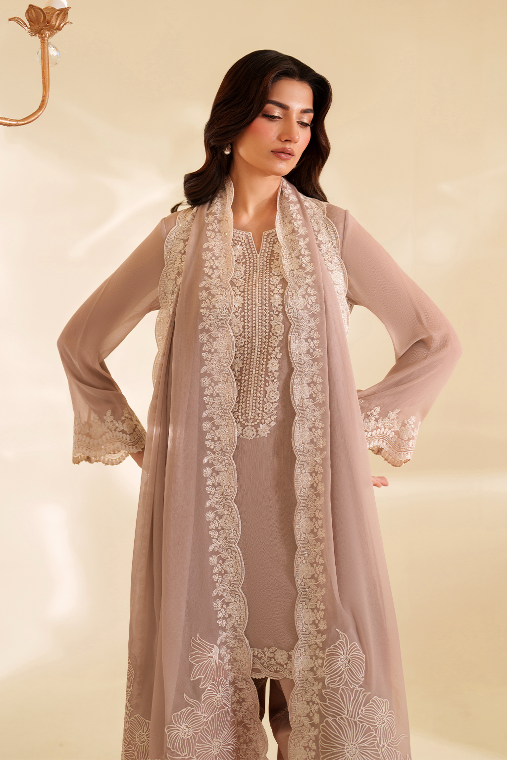 CC-79 Embroidered Chiffon