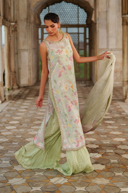 UE-549  Printed Chiffon