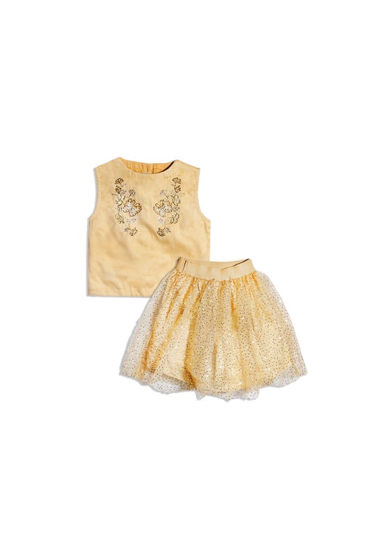 Embellished Top & Skirt (MMB-S48)