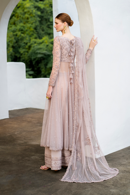 CC-71 Embroidered Net