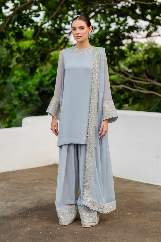 CC-70 Embroidered Chiffon