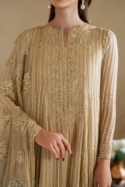 CC-58 Embroidered Chiffon