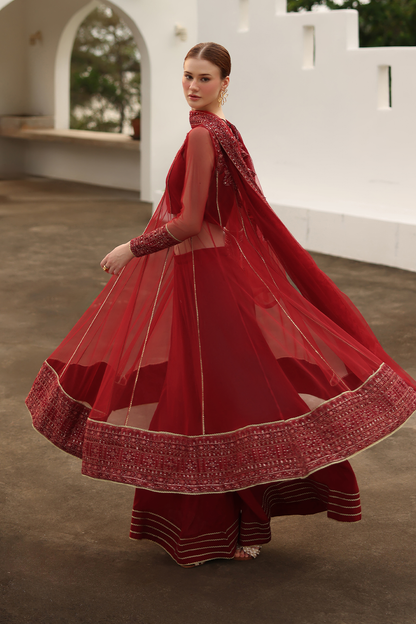 CC-67 Embroidered Net