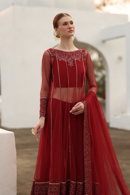 CC-67 Embroidered Net