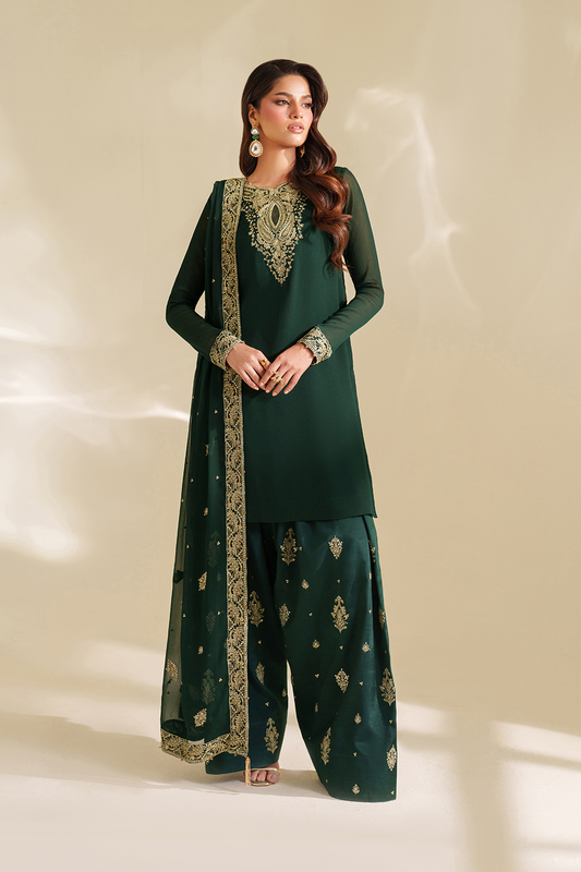 CC-75 Embroidered Chiffon