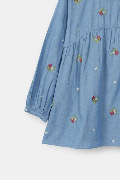Embroidered Top (BL-361)