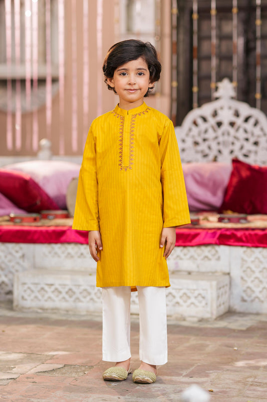 Kurta With Embroidery (FBK-S883)