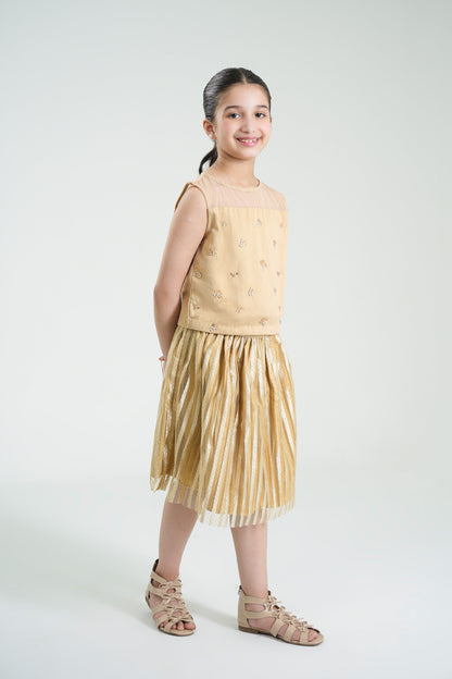 Embellished Top & Skirt (MMB-S59)