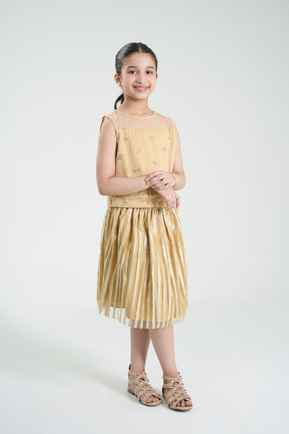 Embellished Top & Skirt (MMB-S59)