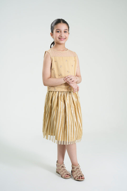 Embellished Top & Skirt (MMB-S59)