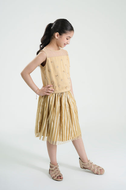 Embellished Top & Skirt (MMB-S59)