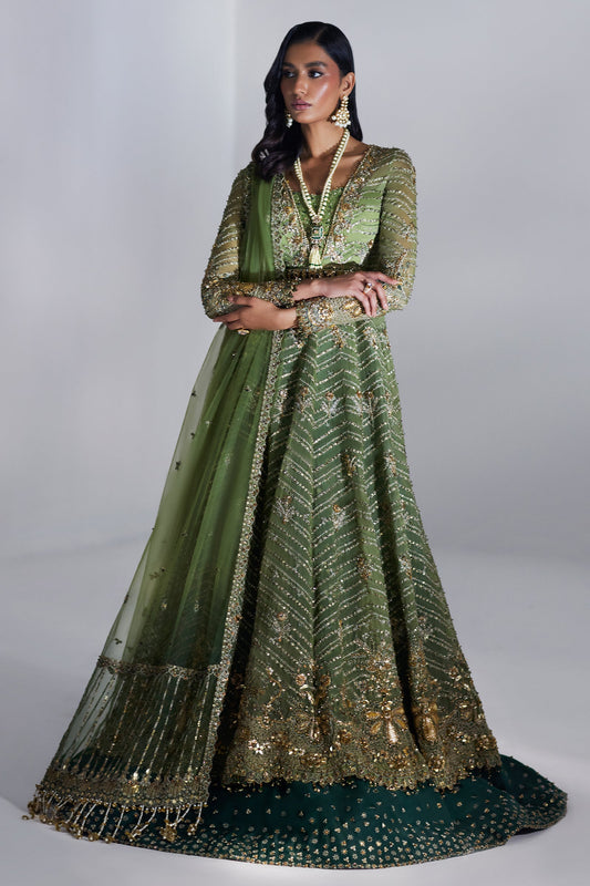 SCINTILLANT OLIVE  (EP-20995)
